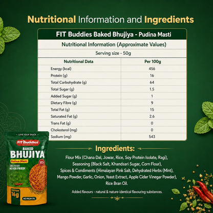 16G PROTEIN BAKED BHUJIYA — PUDINA MASTI